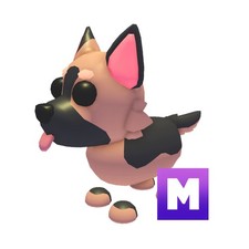 MFR German Shepherd - Adopt