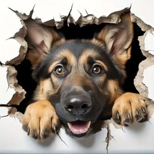PEEKING GERMAN SHEPHERD