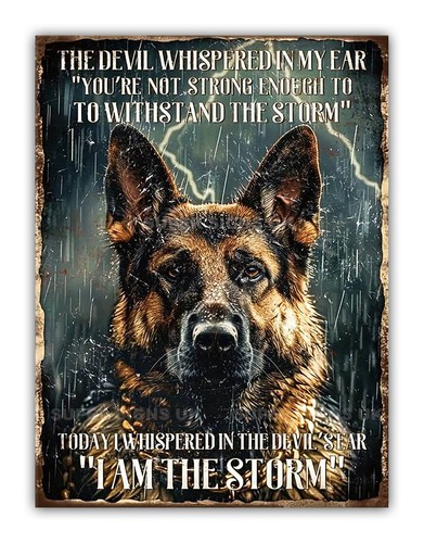German shepherd alsatian i - alsatian,