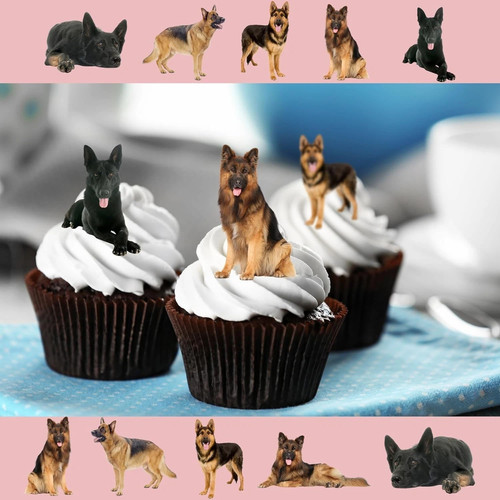 Pre cut german shepherd - 20,
