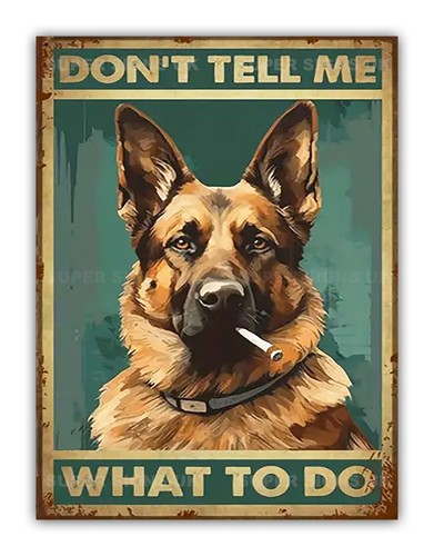Funny german shepherd - funny,