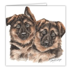 German Shepherd Puppies
