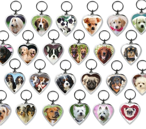 Dog keyrings heart shape - keyrings,