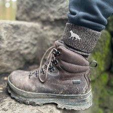 German Shepherd Dog (TWO