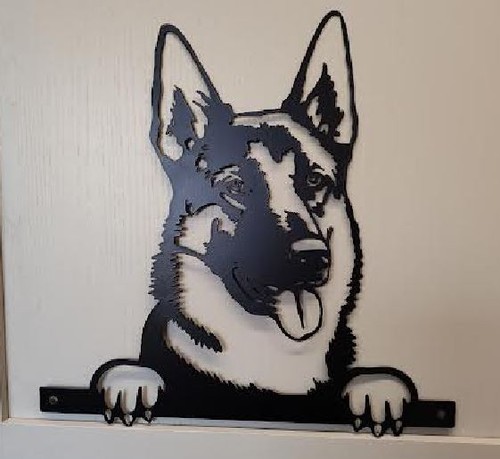 German shepherd alsatian dog - shepherd,