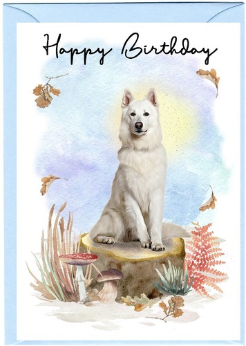 German shepherd dog - shepherd, (white)