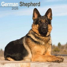 German Shepherd Calendar 2026