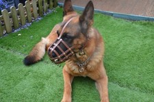 New Light leather Dog Muzzle