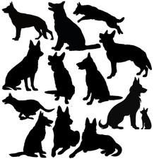 13 German Shepherd Breeds