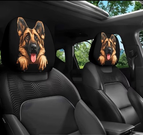 Pair car head rest - pair,