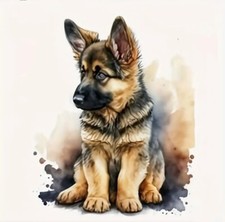 German Shepherd Puppy Full