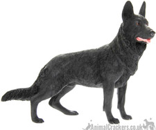 Black Alsatian German Shepherd